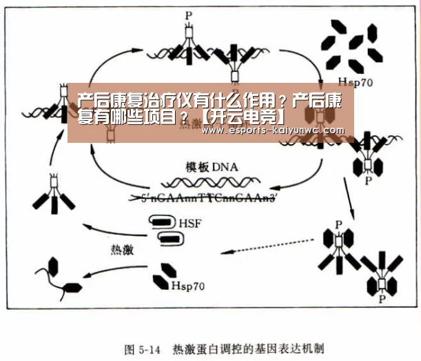  开云电竞官网