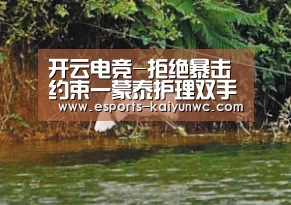  开云电竞平台