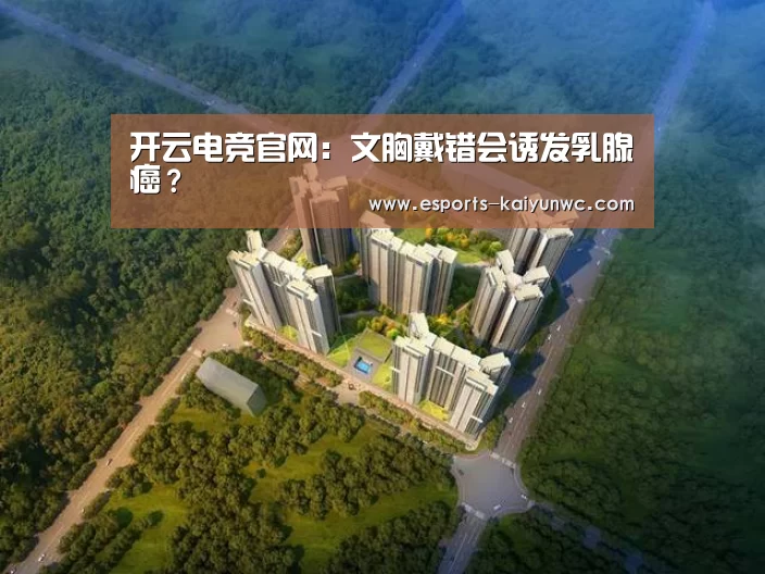  开云电竞官网