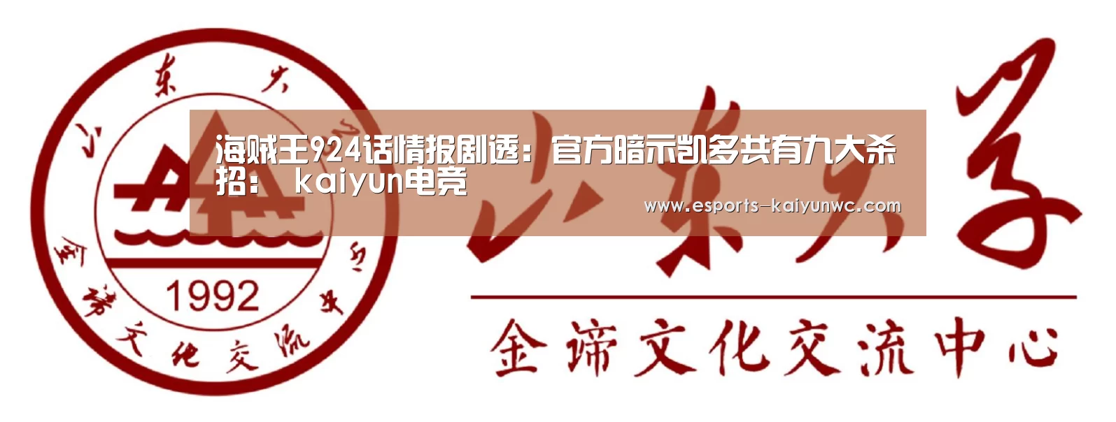  开云电竞官网