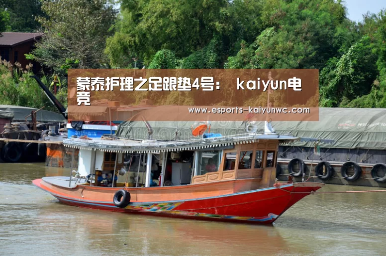 蒙泰护理之足跟垫4号: kaiyun电竞(图1) 开云电竞平台