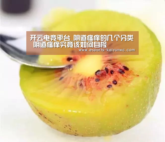  开云电竞官网