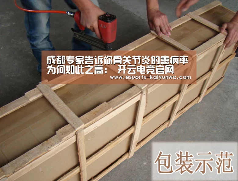  开云电竞官网