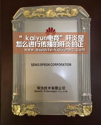  开云电竞官网